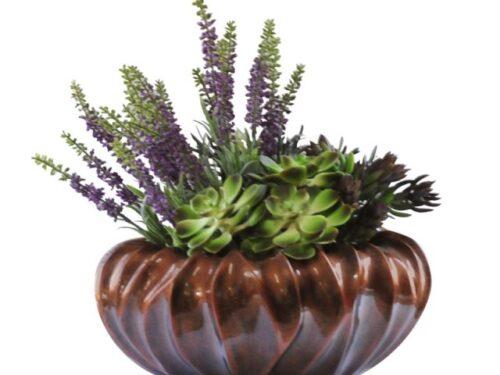 Lavender Succulents in Ripped Vase