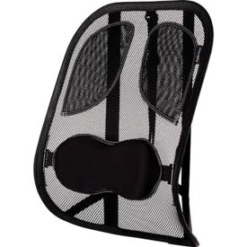 Professional Series Mesh Back Support